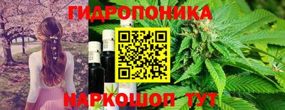 молекула духа Рязань
