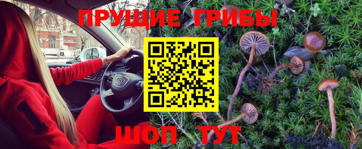 Псилоцибиновые грибы MAGIC MUSHROOMS Тейково